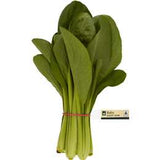 aHR0cHM6Ly9jZG4wLndvb2x3b3J0aHMubWVkaWEvY29udGVudC93b3dwcm9kdWN0aW1hZ2VzL21lZGl1bS8xNTQ5OTIuanBn