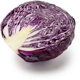 aHR0cHM6Ly9jZG4wLndvb2x3b3J0aHMubWVkaWEvY29udGVudC93b3dwcm9kdWN0aW1hZ2VzL21lZGl1bS8xMzQ5ODYuanBn