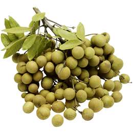 aHR0cHM6Ly9jZG4wLndvb2x3b3J0aHMubWVkaWEvY29udGVudC93b3dwcm9kdWN0aW1hZ2VzL21lZGl1bS8xNjU4NDguanBn