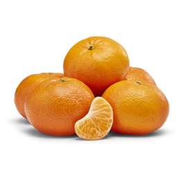 aHR0cHM6Ly9jZG4wLndvb2x3b3J0aHMubWVkaWEvY29udGVudC93b3dwcm9kdWN0aW1hZ2VzL21lZGl1bS82NTE0OTIuanBn